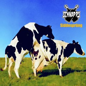 SIDDESPRUNG, le nouvel album Scnhapps